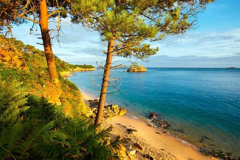 Villa GITE de charme entre Terre et Mer Wifi et Netflix à Plougonven Extérieur photo